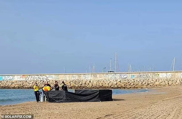 HORROR NË PLAZH/ Gjendet trupi i një fëmije pa kokë, dyshohet se e ka nxjerrë uji në breg