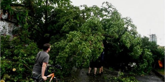 BOTA PO DIGJET NGA I NXEHTI/ Por stuhitë në këto dy shtete iu marrin jetën 4 personave