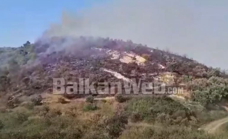 ZJARR NË DIMAL/ Digjen rreth 400 rrënjë ullinj, zjarrfikësit vështirësi për të mbërritur në vendngjarje