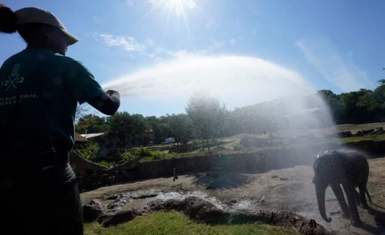 RRITJA E TEMPERATURAVE DHE RIKTHIMI I FENOMENIT EL NINO/ Çfarë pritet të ndodhë në ditët në vijim