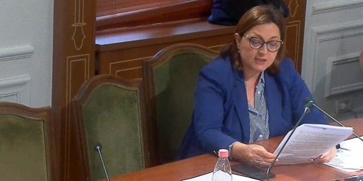 LIGJI PËR SHTETËSINË/ Çupi: A rrezikojmë të kemi më shumë shqiptarë me kombësi të huaj sesa me kombësi shqiptare