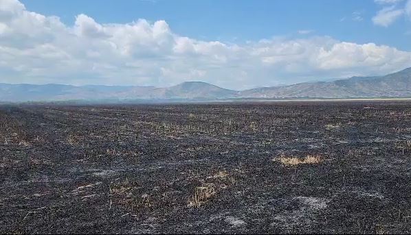 20 ORË “LUFTË” ME FLAKËT/ Fiket zjarri në Bashkinë e Maliqit, digjen 100 hektarë bimësi