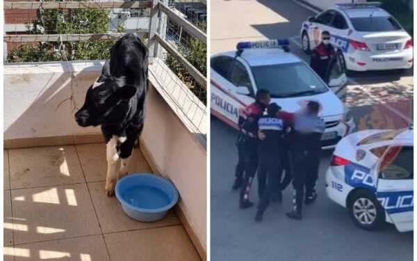 VODHËN VIÇAT DHE I FSHEHËN NË BALLKON/ 3 të rinjtë dënohen me 4 muaj burg