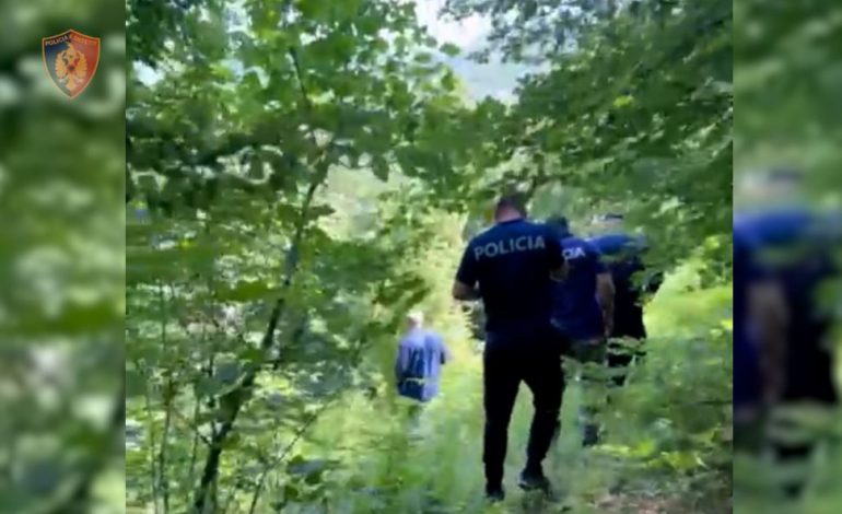 ASGJESOHEN 1 MIJË BIMË NARKOTIKE NË LEZHË/ Policia në kërkim të autorëve
