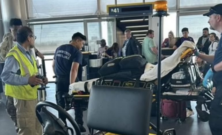 PANIK BRENDA AVIONIT NË SHBA/ Pasagjerët humbin ndjenjat nga vapa ekstreme