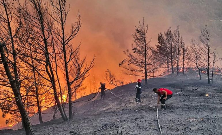 ZJARRI NË RODOS DEL JASHTË KONTROLLIT/ Evakuohen banorët e tre fshatrave