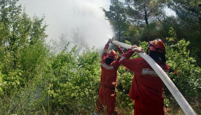 SITUATA E ZJARREVE NË VEND/ Ministri Peleshi: 5 vatra aktive janë evidentuar gjatë ditës së sotme