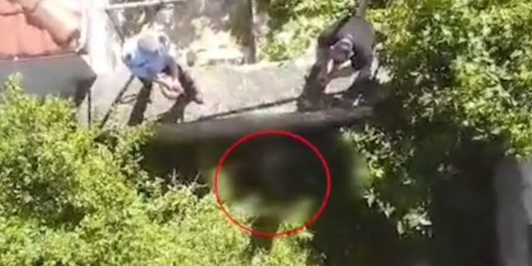 VRAU GRUAN/ Dalin pamjet e operacionit për kapjen e Gjergji Mullallit: Qëlloi ndaj policisë