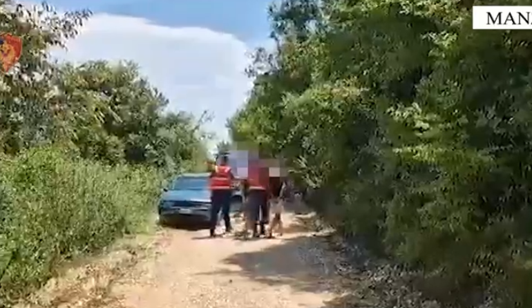 KULTIVONIN DHE SHISNIN KANABIS/ Arrestohen tre të rinj në Ishëm. Asgjësohen 70 bimë narkotike