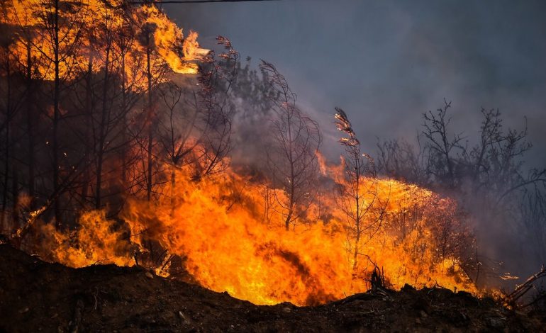 GREQIA NË ALARM/ Më shumë se 500 vatra zjarri vetëm në 10 ditë, rajonet më të rrezikuara