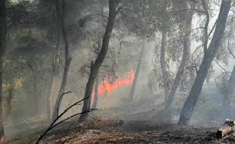 RIAKTIVIZOHET SËRISH ZJARRI NË KRAPS TË FIERIT/ 3 zjarrfikëse në terren, kërkohet ndërhyrja nga ajri