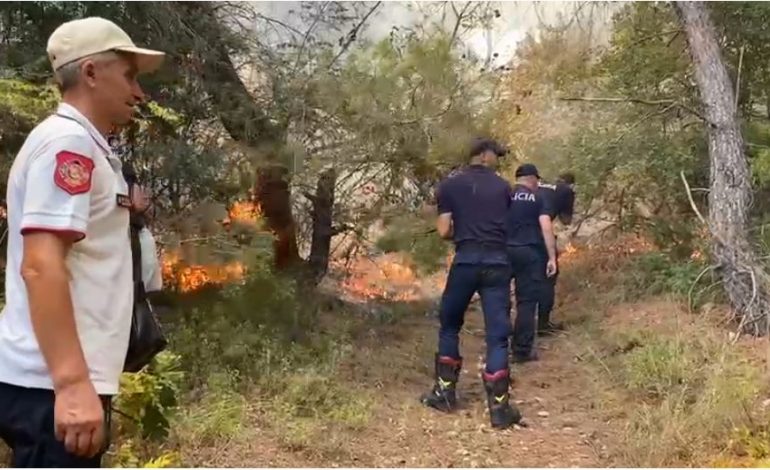 ZJARR NË FIER/ Zjarrfikësit në terren, era dhe temperaturat e larta favorizojnë flakët
