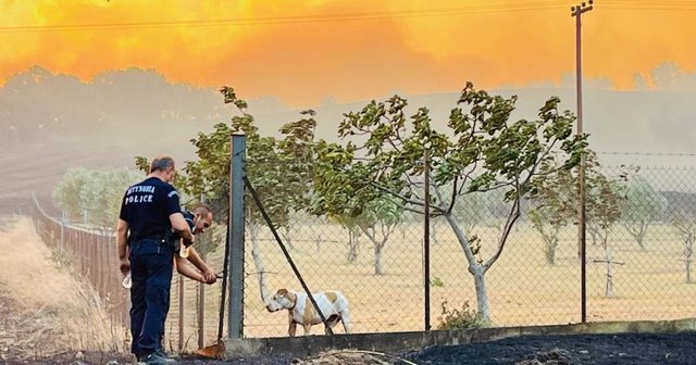 FOTOLAJM/ Zjarri në Aleksandropoli, gjesti human i zjarrfikësve, shpëtojnë qenin e braktisur brenda një gardhi