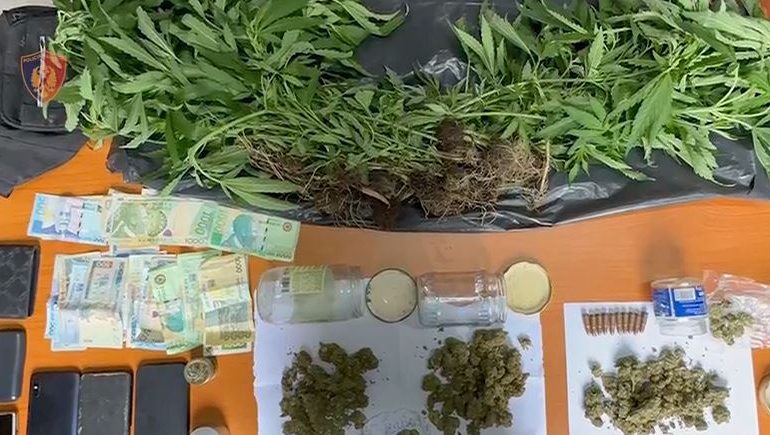 MBOLLËN KANABIS PRANË LOKALEVE DHE ZAPTUAN PLAZHET/ 2 në pranga, një në kërkim dhe 2 nën hetim