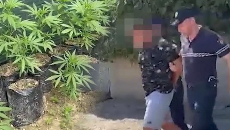 KANABISI NË REPARTIN USHTARAK NË ZALL HERR/ Ministria e Mbrojtjes liron nga detyra 4 ushtarakë