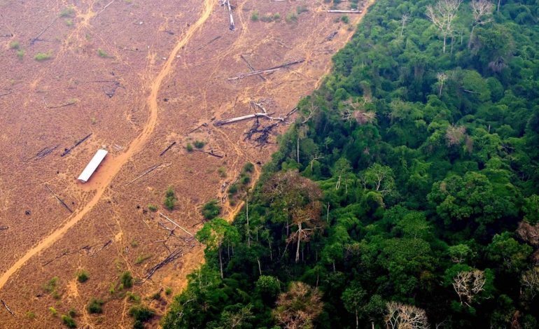 “PLANETI PO SHKRIHET”/ Presidenti i Brazilit thirrje vendeve të pasura: Nëna natyrë ka nevojë për para