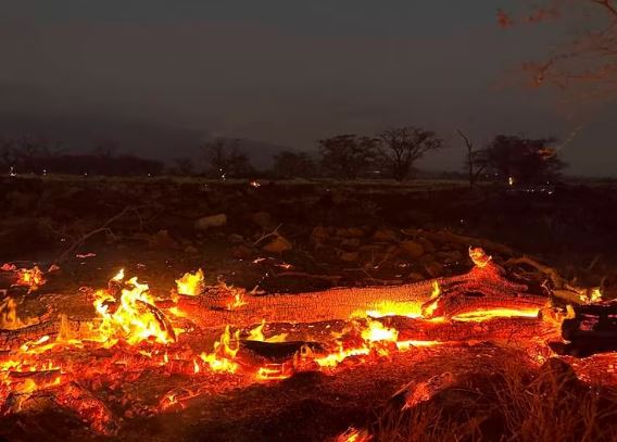ZJARRET NË HAWAI/ Shkon në 53 numri i viktimave, qindra të zhdukur