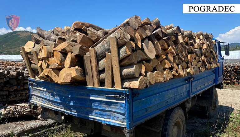 E PËSOJNË KEQ/ Po transportonin dru zjarri të prerë në mënyrë të paligjshme, vihen nën hetim dy persona në Pogradec