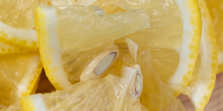 MOS I HIDHNI KURRË FARAT E LIMONIT/ Arsyeja do ju befasojë