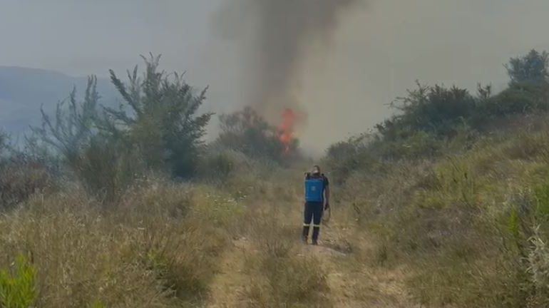 EMRAT/ Ndezën zjarr për të djegur shkurret, por dogjën një sipërfaqe e madhe toke, dy të proceduar në Elbasan