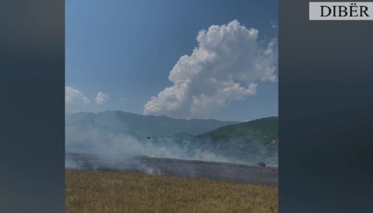 NDODH NË DIBËR/ Donte të digjte shkurret e tokës së tij, i vuri zjarrin 2 hektarëve