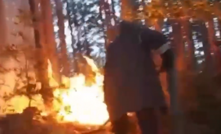 RRUFEJA SHKAKTON ZJARR NË KISHAGJI TË PUKËS/ Një tjetër vatër dhe në fshatin Buzhalë, zjarrfikësit në terren