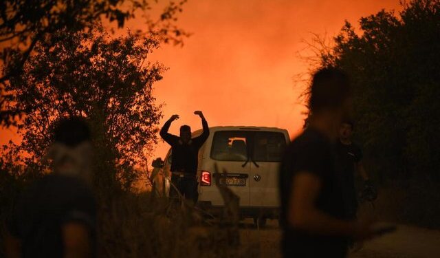 U DOGJËN TË GJALLË NË PYLL/ Detaje tronditëse nga Greqia: Dy prej 18 viktimave janë fëmijë