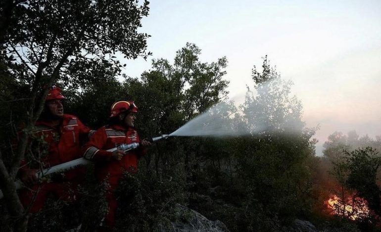 PËRMIRËSOHET SITUATA E ZJARREVE NË VEND/ Peleshi: Vijon puna për shuarjen e flakëve në Devoll, Konispol dhe Finiq