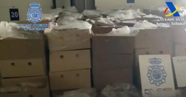 KAPEN 9.5 TON KOKAINË NË SPANJË/ Sasia më e madhe e zbuluar ndonjëherë në vend