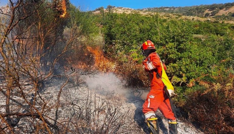 ZJARR NË MALIN E SHPIRAGUT/ Peleshi: Situata është nën kontroll