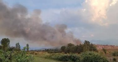ZJARR PRANË INCENERATORIT TË ELBASANIT/ Përfshihet nga flakët fusha e grumbullimit të plehrave