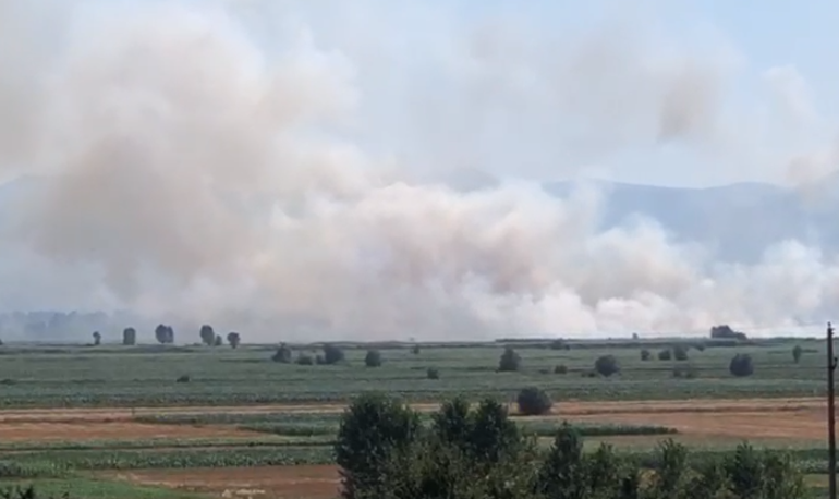 RIAKTIVIZOHET SËRISH ZJARRI NË MALIQ/ Digjet zona torfike, zjarrfikësit po punojnë për shuarjen e flakëve