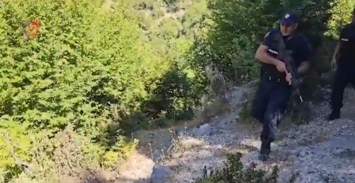 EMRAT/ Policia megaoperacion për zbulimin e parcelave me kanabis disa zona të vendit, 12 të arrestuar