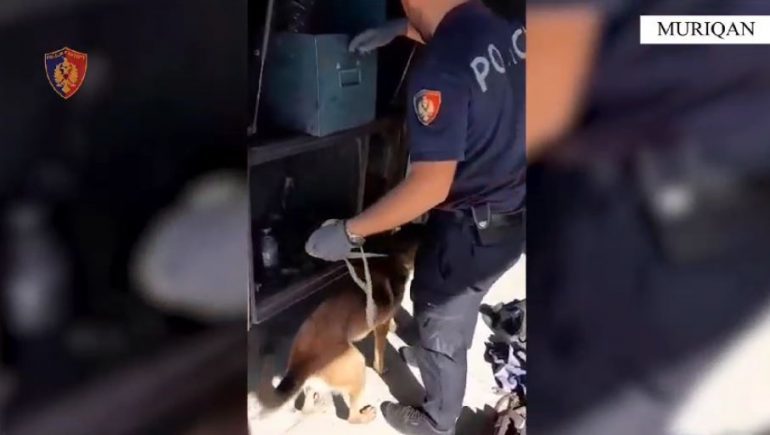 SEKUESTROHEN 82 MIJË EURO NË MURIQAN/ Dy të arrestuar (EMRAT)