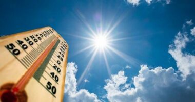 PARASHIKIMI I MOTIT/ Temperatura “plazhi” edhe në shtator