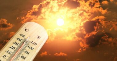 PARASHIKIMI/ Fundjava e parë e shtatorit e nxehtë, temperature deri në 36 gradë