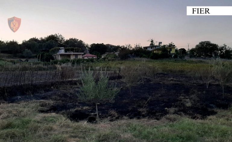 I VUNË ZJARRIN TOKAVE TË TYRE, POR DOGJËN…/ 3 zjarrvënës në Fier pas hekurave