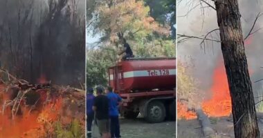 VIJON LUFTA ME FLAKËT NË PYLLIN E SODËS/ Zjarri po rrezikon banesat pranë zonës