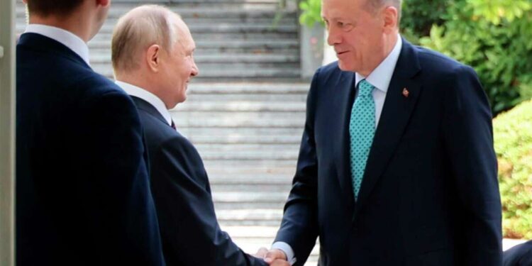 DËSHTOJNË BISEDIMET PËR GRURIN/ Erdogan nuk e bind dot Putinin