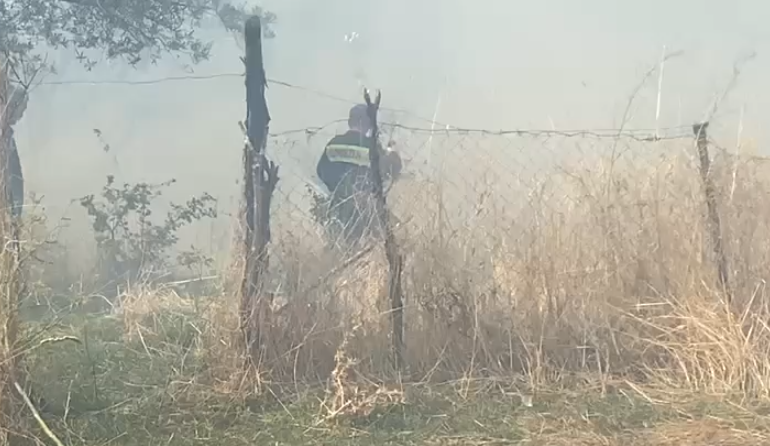 ZJARR NË FINIQ/ Rrezikohen dhe banesat, zjarrfikës e banorë në luftë me flakët