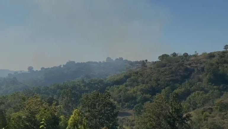 ZJARR NË BUBQ TË KRUJËS/ Flakët e favorizuara nga era djegin 4 ha ullishte e pyje
