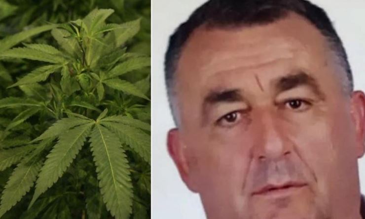 FITOI MILIONA EURO NËPËRMJET KANABISIT NË BELGJIKË/ 58-vjeçari shqiptar vendoset në listën “Most Wanted” të Europol