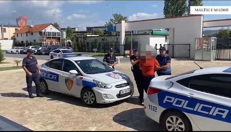 DETAJET E PARA/ Plagosje me armë zjarri në Malësi të Madhe, arrestohet autori