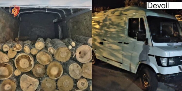 E PËSON KEQ/ U kap duke transportuar dru zjarri, prangoset 41-vjeçari në Devoll