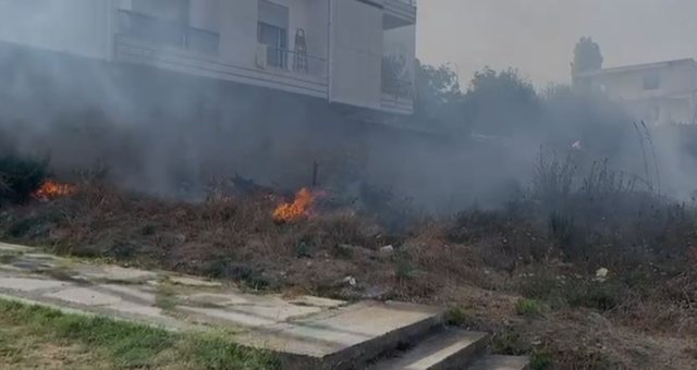 DETAJET E PARA/ Zjarr pranë varrezave të dëshmorëve në Fier, flakët rrezikuan një banesë