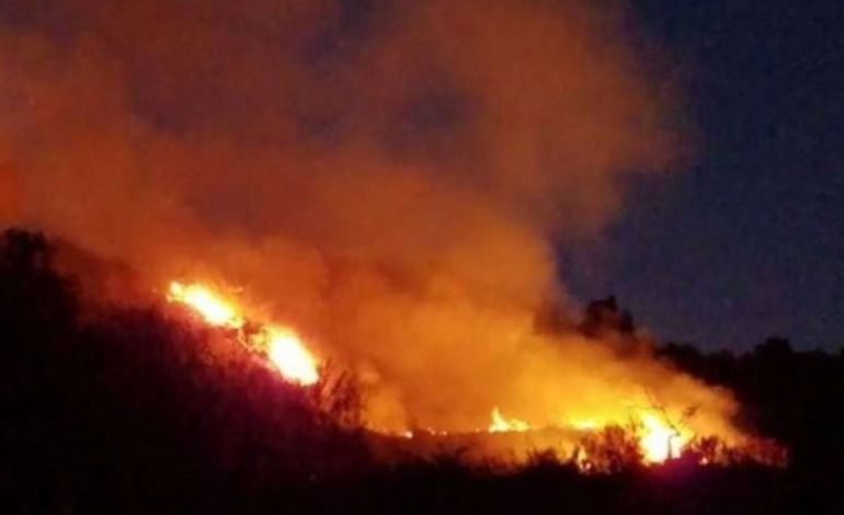 SHQIPËRIA “PUSHTOHET” NGA FLAKËT/ Vatër zjarri në Drenovë dhe Patos, refuzohet ndërhyrja nga ajri