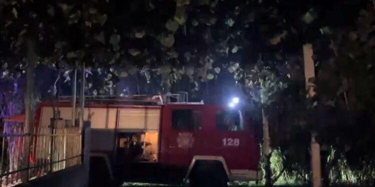 DETAJET/ Dogji mbeturinat, flakët përfshinë sipërfaqe të mëdha me ullinj e rrezikuan banesat, shoqërohet në polici i moshuari