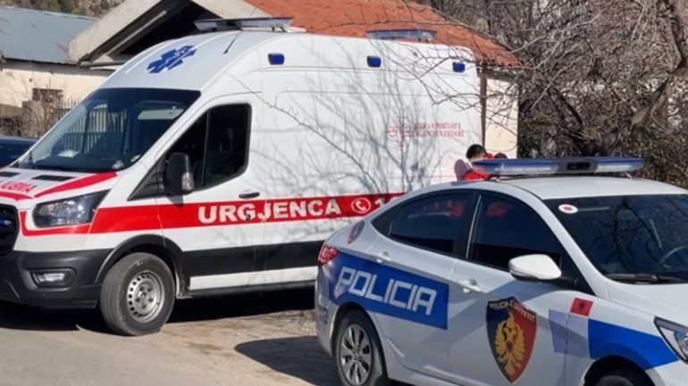 VIKTIMA NË SUKTH NUK ISHTE VETËM NË MAKINË/ Zbardhet dëshmia e shokut: Po ktheheshim nga lokali kur…