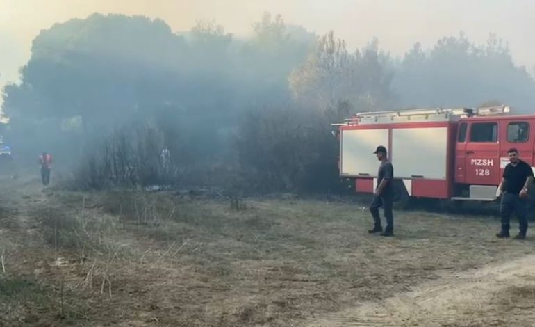 PREJ PESË DITËSH VIJON DJEGJA MASIVIT PYJOR NË FIER/ Vatrat e zjarrit mbeten aktive në Pishporo
