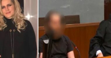 TRONDITET GJERMANIA/ I riu ekzekuton nënën me pretendimin se vaksinat i kishin shkatërruar jetën